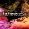 Let Somebody Go (Guitar Version) - Single album lyrics, reviews, download