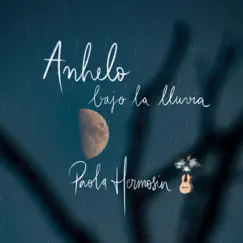 Anhelo bajo la lluvia - Single by Paola Hermosín album reviews, ratings, credits