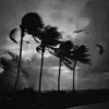 Hurricane Dorian album lyrics, reviews, download