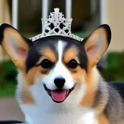 Corgi Queen (feat. TwistedNormal) - Single by FunkyBundtcake album reviews, ratings, credits