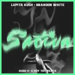 Sativa (feat. Brandon White) [Remix] Song Lyrics