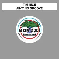 Ain't No Groove - Single by Tim Nice album reviews, ratings, credits