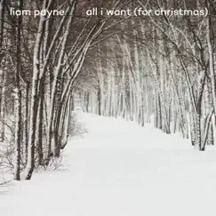All I Want (For Christmas) Song Lyrics