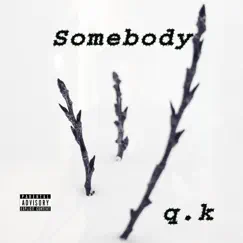 Somebody - Single by Q.K album reviews, ratings, credits