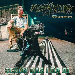 Schön das i da bi - Single by Sorgäching & Sergio Fertitta album reviews, ratings, credits