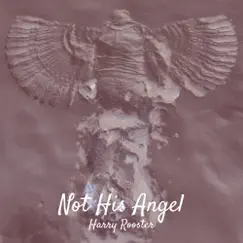 Not His Angel - Single by Harry Rooster album reviews, ratings, credits