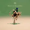 flowers in the garden - Single album lyrics, reviews, download