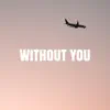 Without You - Single album lyrics, reviews, download