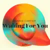 Waiting for You - Single album lyrics, reviews, download