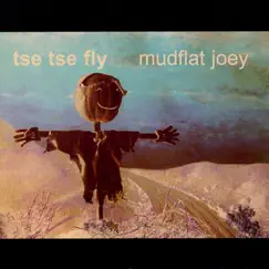 Mudflat Joey by Tse Tse Fly album reviews, ratings, credits