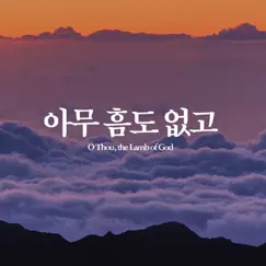 아무 흠도 없고 - Single by Joel Lee album reviews, ratings, credits