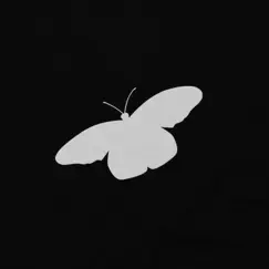 Butterflies - Single by Chaddanooga album reviews, ratings, credits