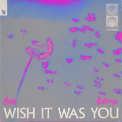 Wish It Was You (feat. Cate Downey) Song Lyrics