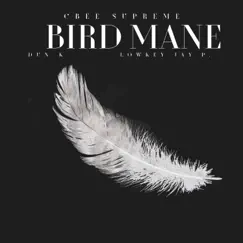 Bird Mane (feat. Jay. P & K-DUN) Song Lyrics