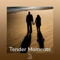 Peaceful night full of stars - EP by Tender Moments album reviews, ratings, credits