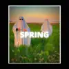 Spring (feat. SephGotTheWaves) song lyrics
