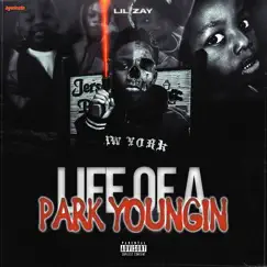 Life of a Park Youngin by Lil Zay album reviews, ratings, credits