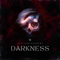 Darkness - Single by Its Liam Andrews album reviews, ratings, credits