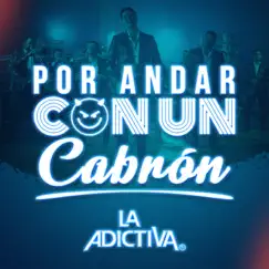 Por Andar Con Un C****n - Single by La Adictiva album reviews, ratings, credits