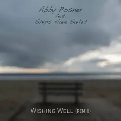 Wishing Well (Remix) [feat. Ships Have Sailed] - Single by Abby Posner album reviews, ratings, credits