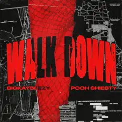 Walk Down (feat. Pooh Shiesty) - Single by BigKayBeezy album reviews, ratings, credits