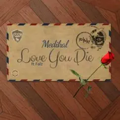 Love You Die (feat. Falz) - Single by Medikal album reviews, ratings, credits