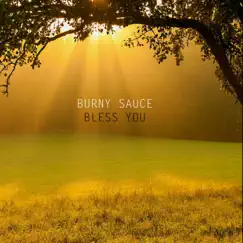 Bless You (Radio Edit) Song Lyrics