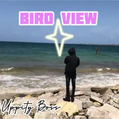 Bird View - Single by Uppity Boss album reviews, ratings, credits