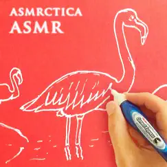 Flamingos Wikipedia Ramble (Asmr) by Asmrctica Asmr album reviews, ratings, credits