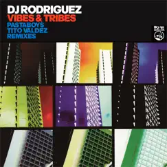 Vibes & Tribes by DJ Rodriguez album reviews, ratings, credits