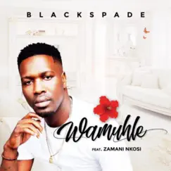 Wamuhle (feat. Zamani Nkosi) Song Lyrics