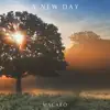 A New Day - Single album lyrics, reviews, download