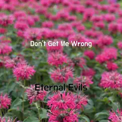 Don't Get Me Wrong - Single by Eternal Evils album reviews, ratings, credits