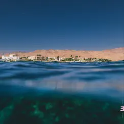 Dahab Days by Rob Luft album reviews, ratings, credits
