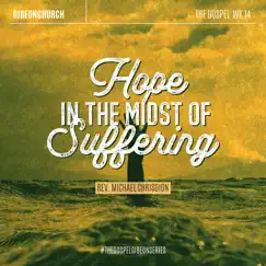 The Gospel 14 / 16 - Hope in the Midst of Suffering by Michael Chrisdion album reviews, ratings, credits