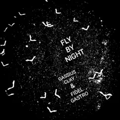 Fly By Night Song Lyrics