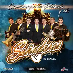 El Paciente (En Vivo) Song Lyrics