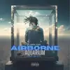 Airborne Aquarium - Single album lyrics, reviews, download