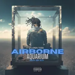 Airborne Aquarium - Single by Loren Todd album reviews, ratings, credits