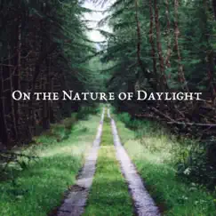 On the Nature of Daylight - Orchestral - Single by Shyar Kiki album reviews, ratings, credits