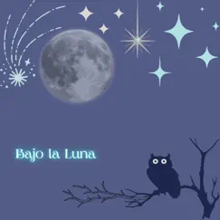 Bajo la Luna - Single by Blue Music album reviews, ratings, credits
