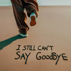 I Still Can't Say Goodbye Song Lyrics