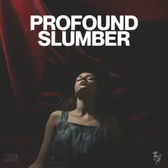 Profound Slumber by Sleepy Sine album reviews, ratings, credits