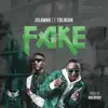 Fake (feat. Tolibian) - Single album lyrics, reviews, download