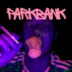 Parkbank - Single by Goldecht album reviews, ratings, credits