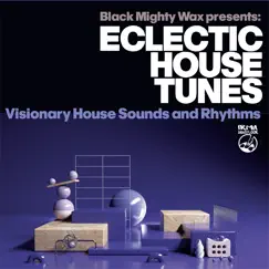 Eclectic House Tunes (Visionary House Sounds and Rhythms) by Black Mighty Wax album reviews, ratings, credits