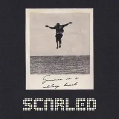 Summer on a solitary beach - Single by SCARLED album reviews, ratings, credits