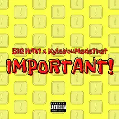 Important! - Single by Big Havi & KyleYouMadeThat album reviews, ratings, credits