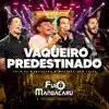 Vaqueiro Predestinado (Ao Vivo) - Single album lyrics, reviews, download