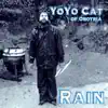 Rain - Single album lyrics, reviews, download